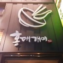 홍대개미 이미지