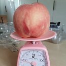 대광농원 이미지