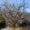 순천-65호 이미지