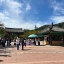 선운산 생태숲 방문자센터 | 선운산 꽃무릇 축제 (선운산 꽃무릇, 선운산 꽃무릇 잔치)