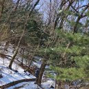 우면산3-19 이미지