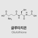 진싸몰