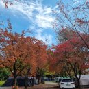 힐링캠프팬션 B 이미지