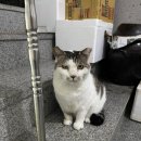 단지식당 | 경주 보문단지 맛집 마을식당 내돈내산 솔직후기