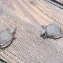 현희농장 이미지