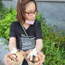 2022년 08월 18일 제주도-우도의 명물, 땅콩 콕콕 박힌 아이스크림! 이미지