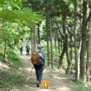 수정4동체육공원 이미지