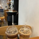 써니플랜트 | 플랜테리어 써니사이드플랜트 구아바나무 내돈내산 솔직후기