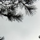 황토와통나무 이미지