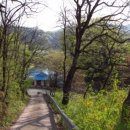 백천민박 이미지