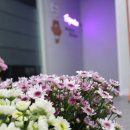 주군컴퍼니