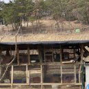 산동죽마고우