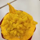 할로나J 이미지