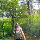 무우사 | [화성 가볼만한 곳] 보통리 저수지에서 시작하는 가벼운 트레킹, 태봉산 등산 코스 정보