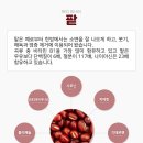브이솔루션 네이버블로그