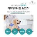 노형동물병원 이미지