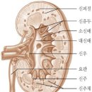 도서출판황하