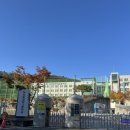 하단동242 이미지