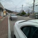 영산 연지못 | 벚꽃 명소 ‘창녕 영산만년교’ / ‘창녕 연지못’