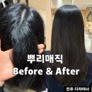 양화로 133 서교타워 앞 | [서울/마포구] 홍대입구역 미용실 준오헤어 홍대서교타워점, 진주 디자이너 뿌리매직 찐후기