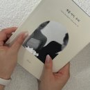 북만장 | [셀프포토북] 결혼식 본식소품으로 사용할 나만의 책만들기(feat.binding)