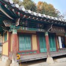 금토동 안말 안동권씨(安東權氏) 세거지(世居地) 이야기 이미지