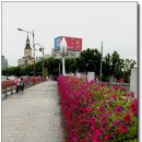 세기헬스마트 이미지