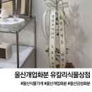 울산 개업화분 추천 유칼리식물상점 내돈내산 추천후기