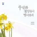 권영민, 수선화 꽃망울이 벌어졌네 이미지