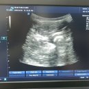 티엠메디컬 이미지