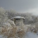 2월 6일(일)[07:00출발] 전남 광주 국립공원 무등산(해발1,187m) 새인봉 눈꽃산행 이미지