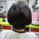 엘림헤어샵 이미지