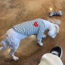 모찌네호캉스 이미지