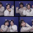 미니 앤 스위치 이미지