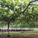 희성농장 이미지