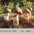 송이푸드 - 문경시 여중1길 29 | 송이푸드