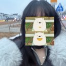 해물포차푸른밤 네이버블로그