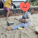 신나는전동세상 | [맛집 여행] 세종 구스커피 아이와 주말 카페 데이트 - 야외 모래놀이터와 계곡 다슬기 잡기 체험 후기
