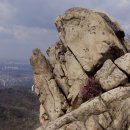 범이네 자동차마을 | 호암산과 삼성산 그리고 관악산 종주 산행 후기