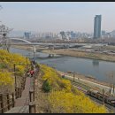 응봉산팔각정 이미지