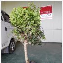 중부농산 이미지