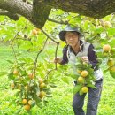 평암농장 이미지