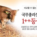 조은장터