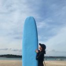 제주도 액티비티 제주 표선 서핑 추천 제주표선 서핑스쿨