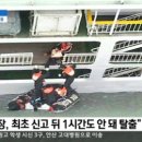 선장1로 이미지