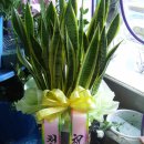 유가네식당 이미지