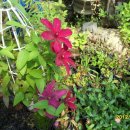 순희네농장 이미지