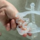 사자 | 치발기사용시기 퍼기 모윰 사자 치발기 후기