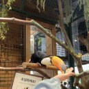 동탄대로5길L | 아기랑 동탄 실내동물원 방문 l 겨울에도 놀기놓은 실내 나들이