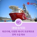 카라인 태양광발전소 이미지